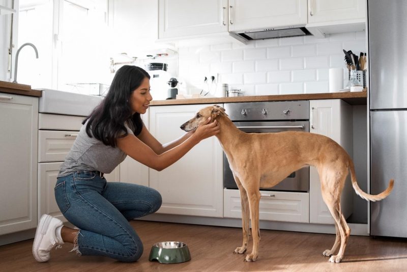 The Best Ways to Dog Proof Your Kitchen Two Plus Dogs